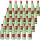 Acqua Ferrarelle Effervescente Naturale 33 cl x 24 vetro a perdere
