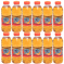 San Benedetto The alla Pesca in bottiglia di plastica da 50 cl