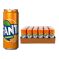 Fanta in Lattina cl 33